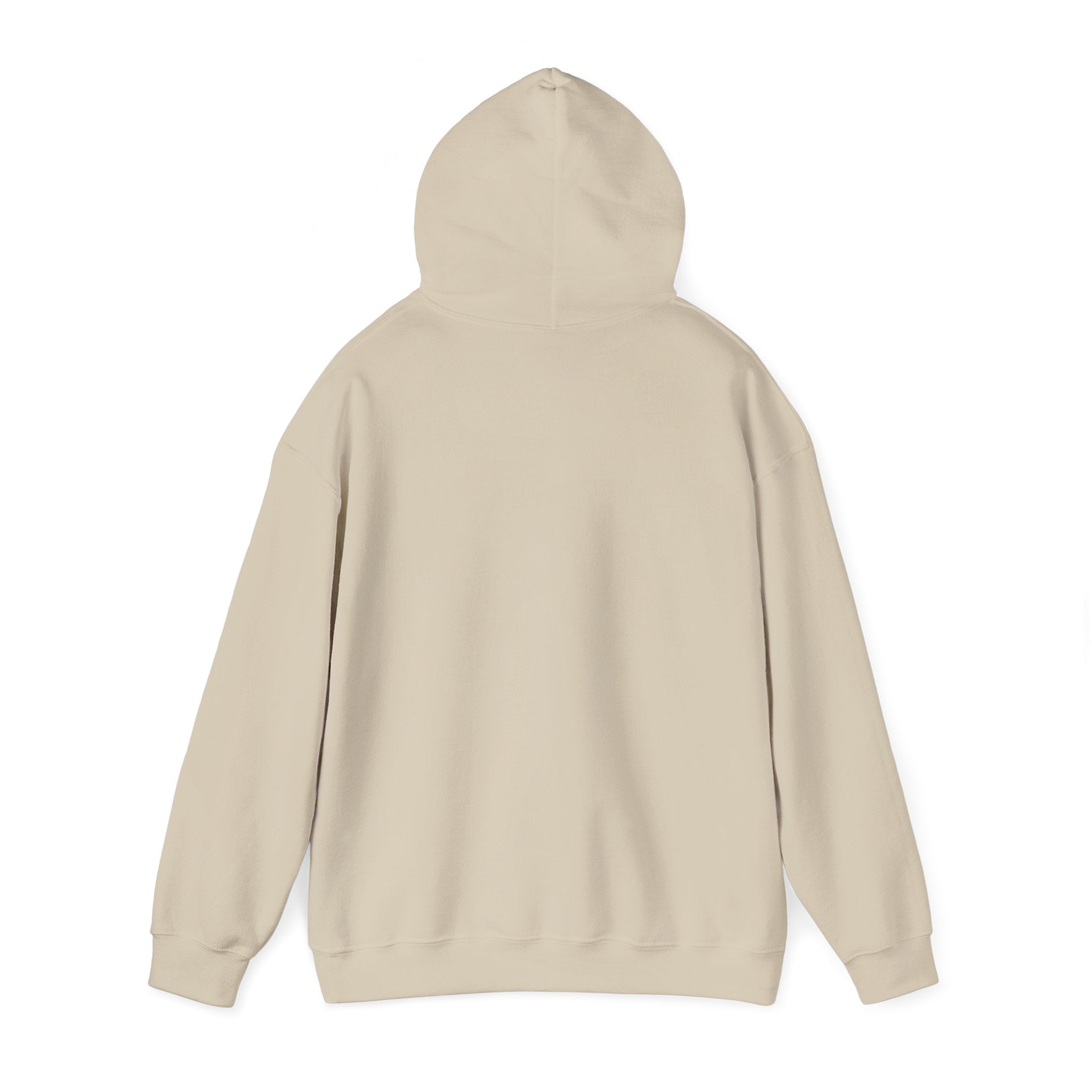 Shine Your Light Hoodie — Inspirational White Pullover