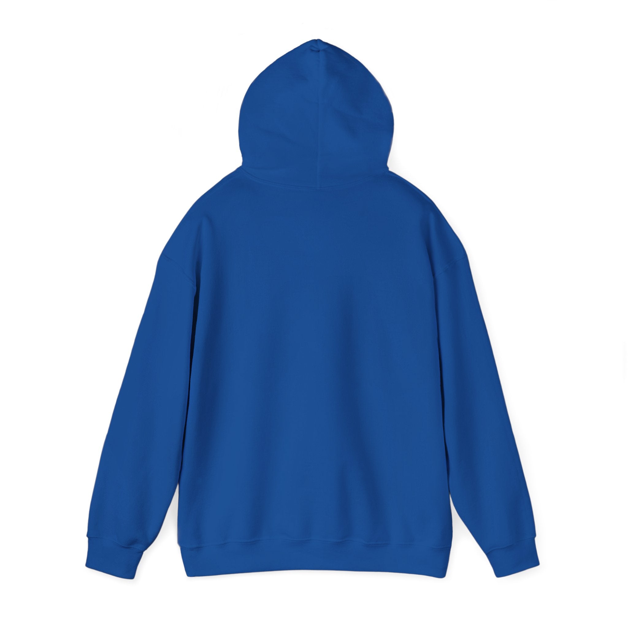 Shine Your Light Hoodie — Inspirational White Pullover