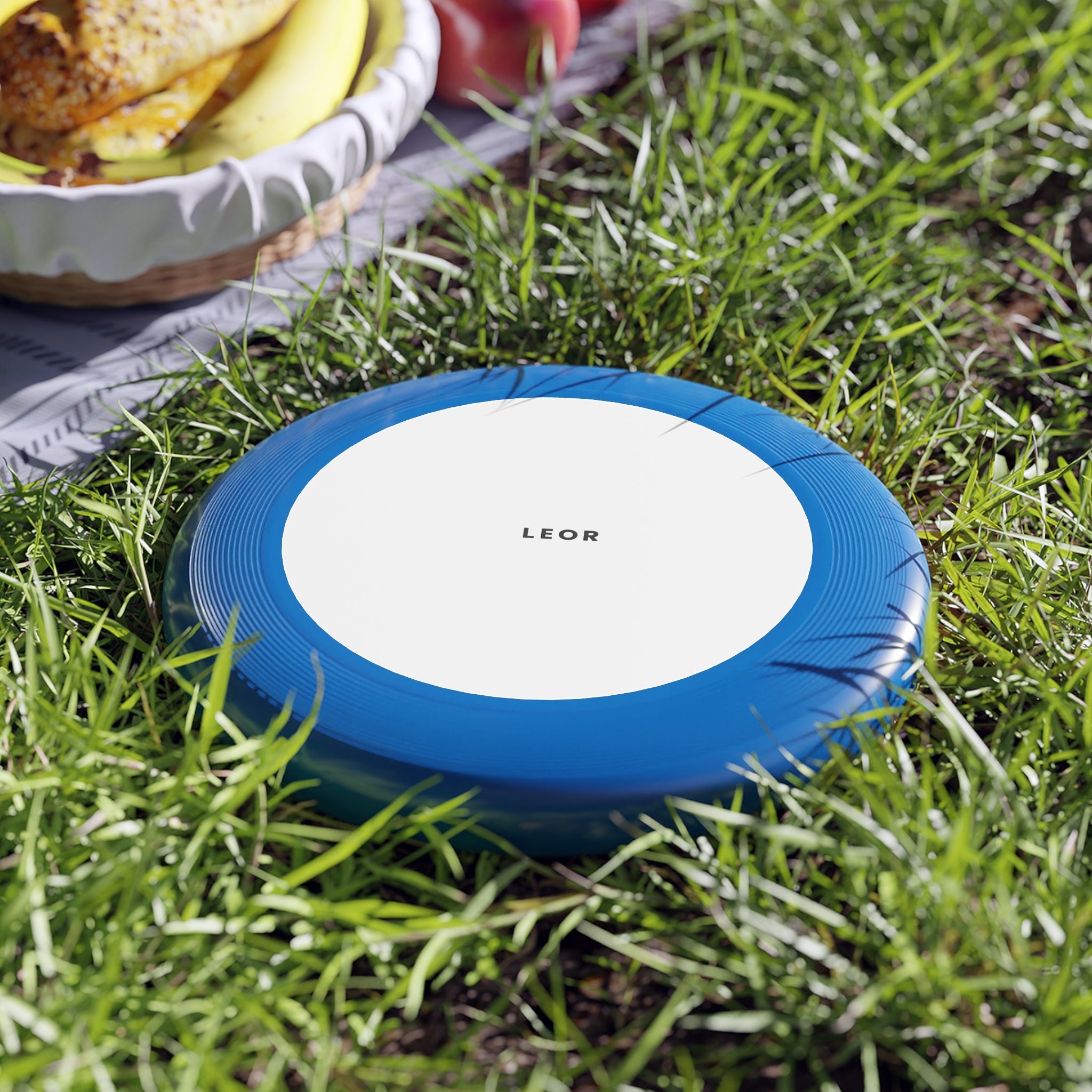 Frisbee — Minimal 'LEOR' Flight Disc for Park Games & Outdoor Play