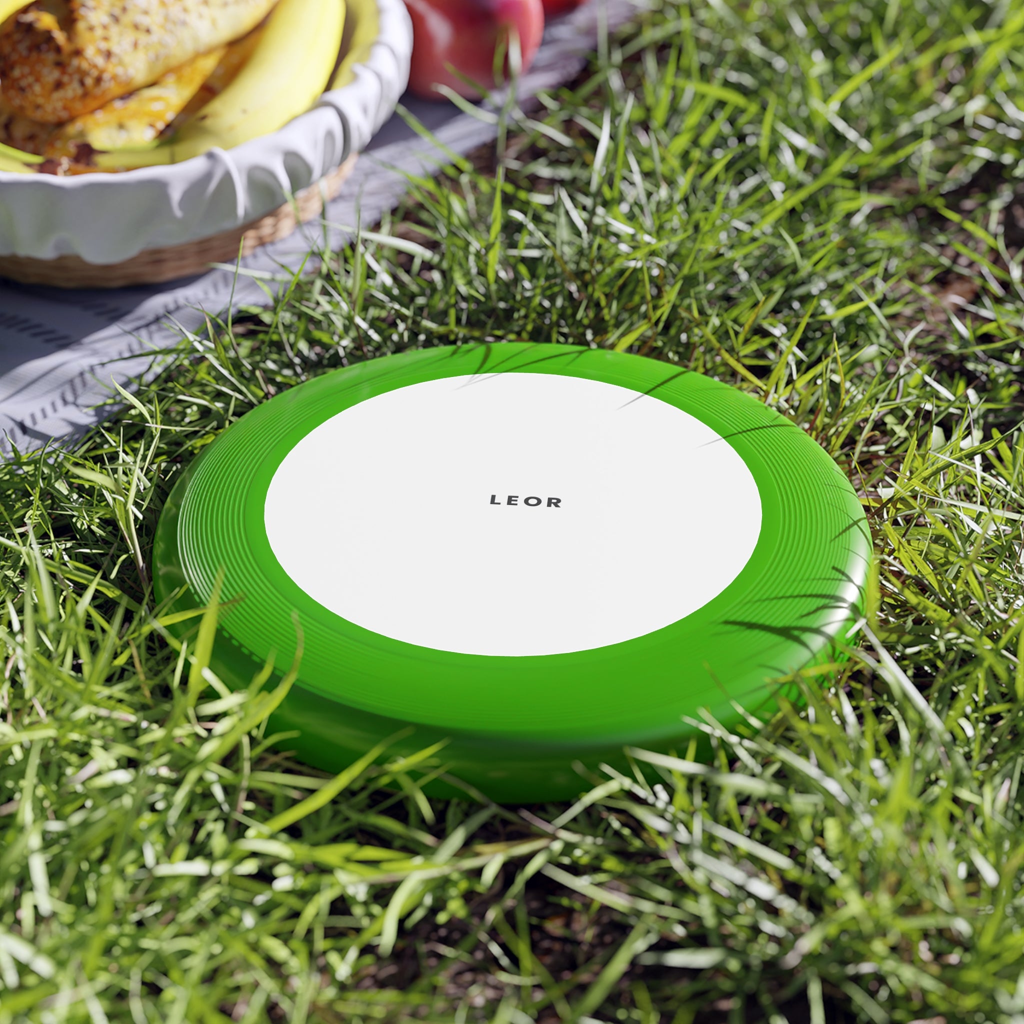 Frisbee — Minimal 'LEOR' Flight Disc for Park Games & Outdoor Play