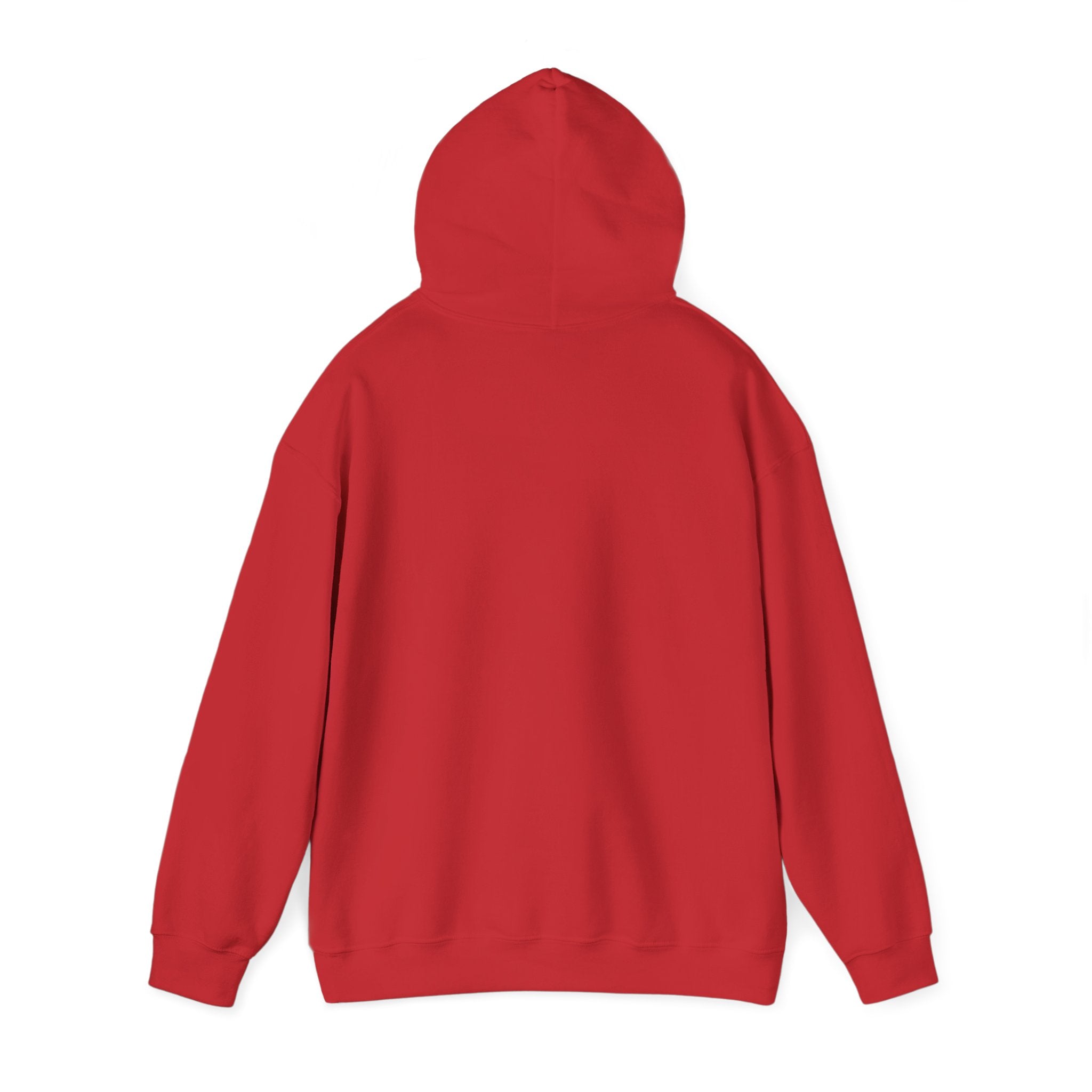 Shine Your Light Hoodie — Inspirational White Pullover