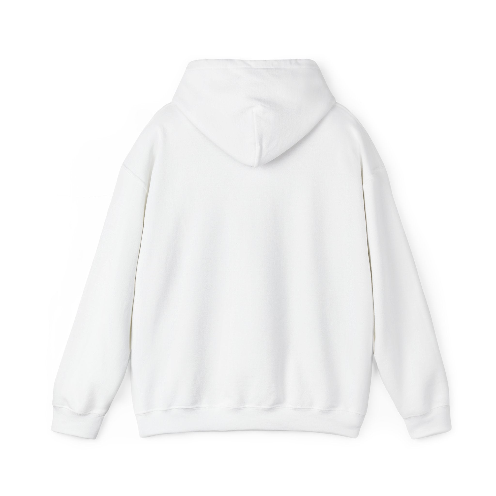 Shine Your Light Hoodie — Inspirational White Pullover