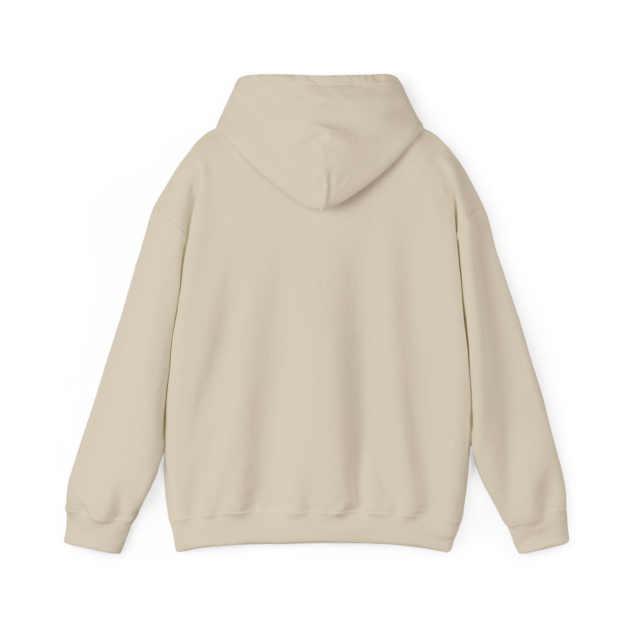 Shine Your Light Hoodie — Inspirational White Pullover
