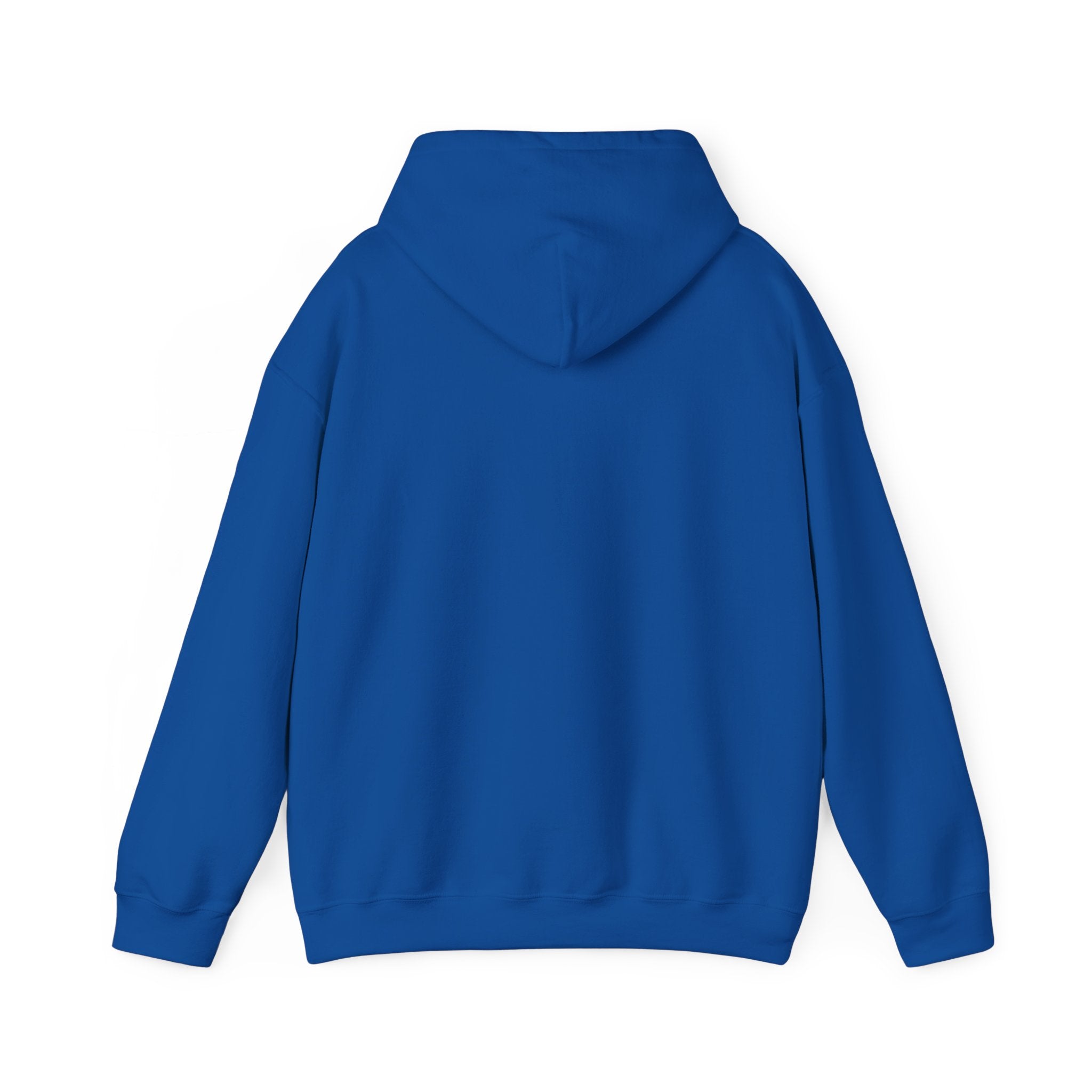 Shine Your Light Hoodie — Inspirational White Pullover