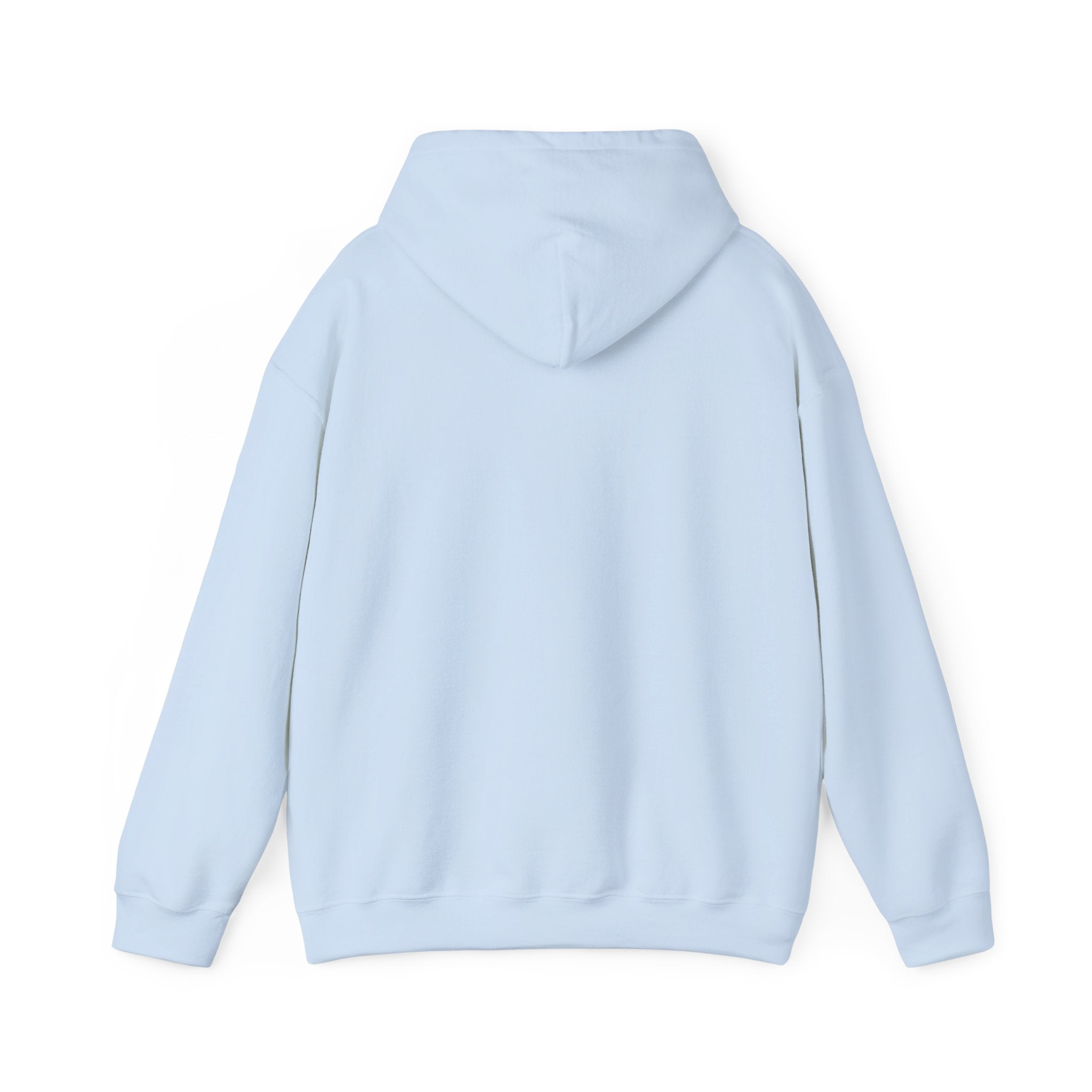Small Steps Big Dreams Hoodie — Inspirational Motivational Hooded Sweatshirt