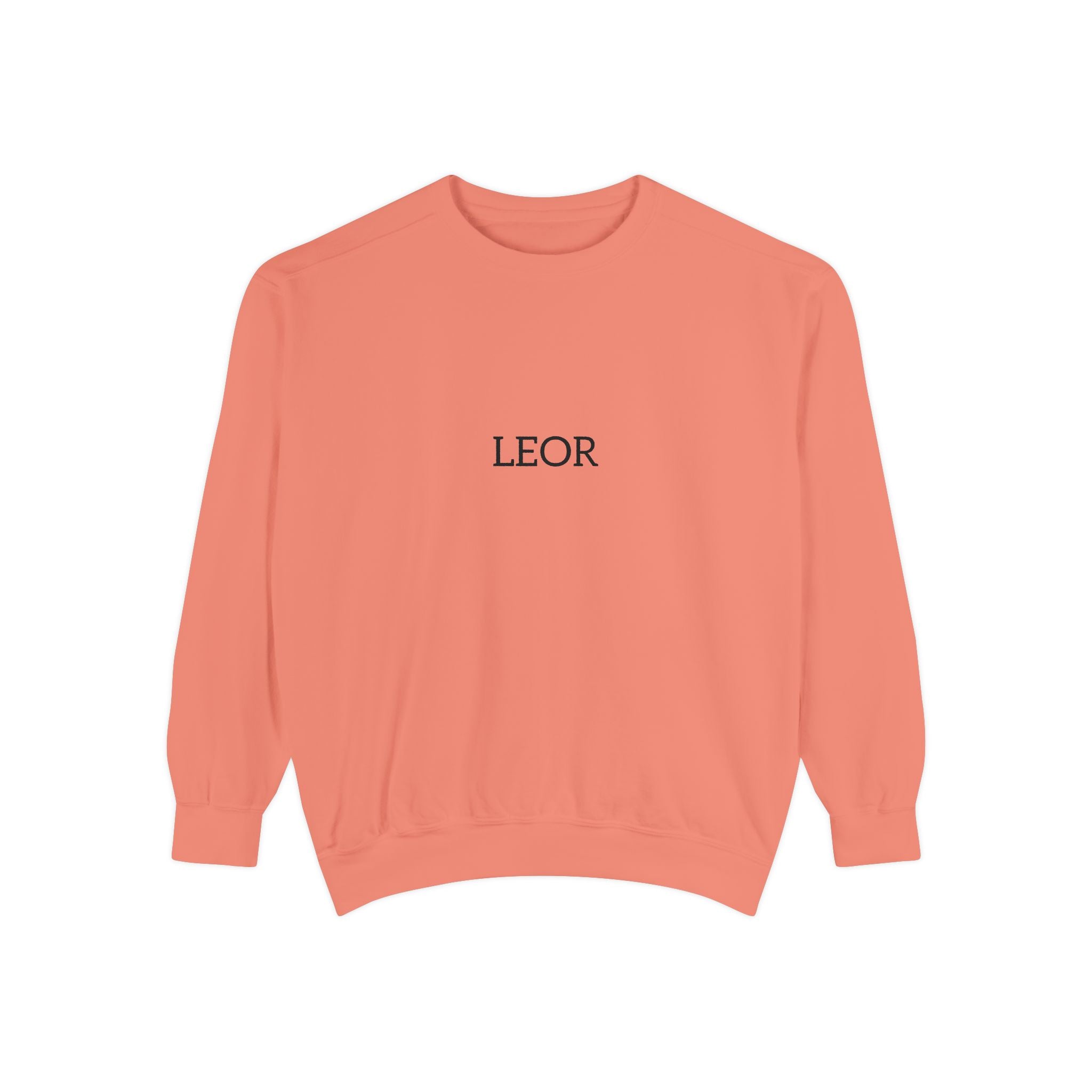 LEOR Minimalist Embroidered Sweatshirt